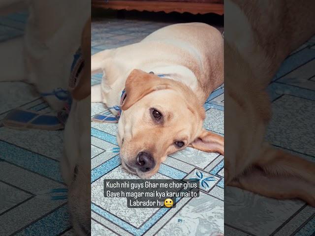 Mini in mini vlog 7 || Deepak Kushwaha #deepakkushwaha #fact #childrensstories #dk #storytale #story