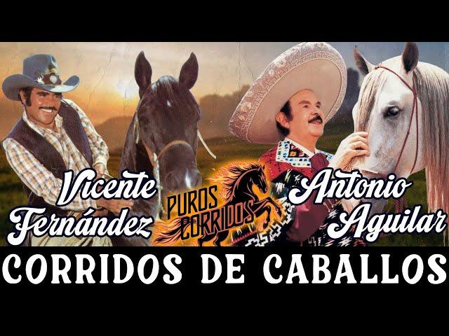 Vicente Fernández y Antonio Aguilar con Tambora ⭐ 30 Éxitos Corridos de Caballos Famosos Mix    