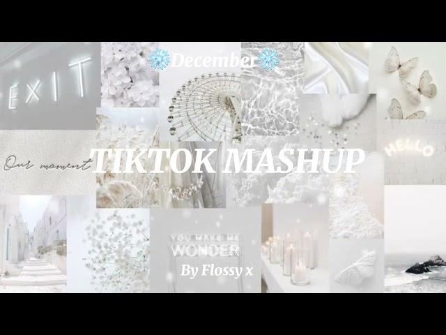 TikTok mashup ️December️ 2024 (not clean!)