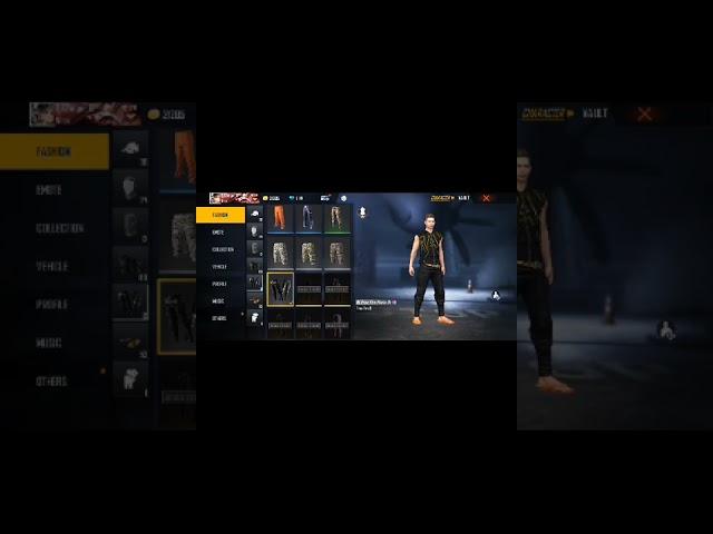 incubator spin video 