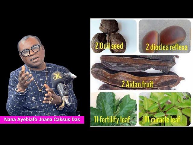 5 Elemental Mystical Herbs For Total Protection – Nana Ayebiafo Jnana Caksus Das