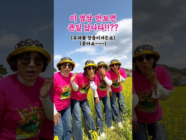 유채꽃 포토존 추천 임영웅 무지개와 함께 짹짹이랑 떠나요~!! #유채꽃 #임영웅 #순천시  #광양시 #무지개  #트로트 #브이로그 #드라이브 #포토존
