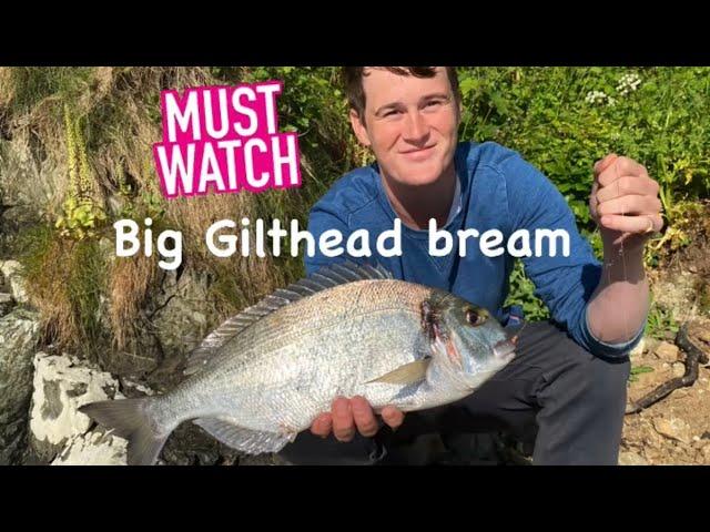 GILTHEAD BREAM MISSION-FISHING GUIDES DEVON SERIES-KINGSBRIDGE ESTUARY-PAUL BASSMAN