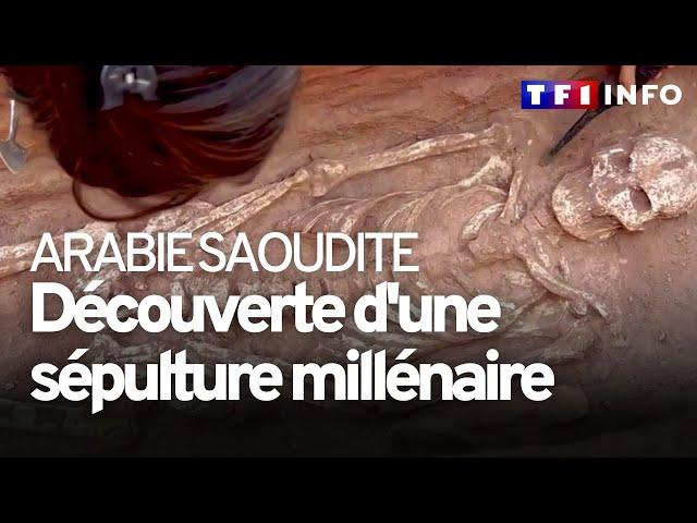 Arabie saoudite : l'incroyable découverte d'un tombeau millénaire devant nos caméras