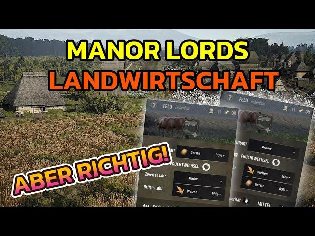 Manor Lords: TIPPS für die LANDWIRTSCHAFT