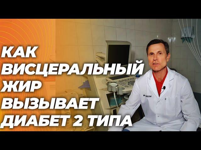 Как висцеральный жир вызывает диабет 2 типа. Простое объяснение. Теперь понятно над чем работать.