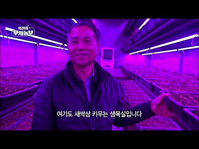 [71회] 남다른 전략으로 연 매출 10억 5천 '충남 천안시 송인천 부자농부'