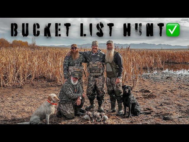 Bucket List Hunt  | DrDuck