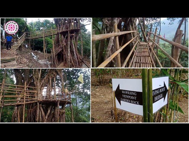 HAJRONG DIENG DON KA JINGKIENG & DIENGJRI BA HEH | KA JAKA JNGOH KAI BA PLIE  THYMMAI HA WAHKHEN