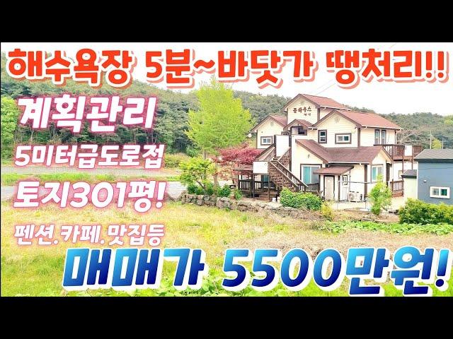 폭탄세일~위치좋은 바닷가~ 해수욕장5분.매매가5500만!! 토지301평.전원주택.전원카페.힐링쉼터.주말주택.나만의캠핑장.펜션. 텃밭.농업직불금.급매물임장tv010 2582 8959