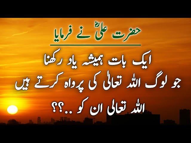 Images collection | Hazrat Ali Quotes in Urdu | Collection of Islamic Quotes | Atif 24