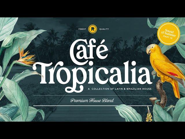 Latin Brazilian House Mix | Café Tropicalia House Mix Pt. 10