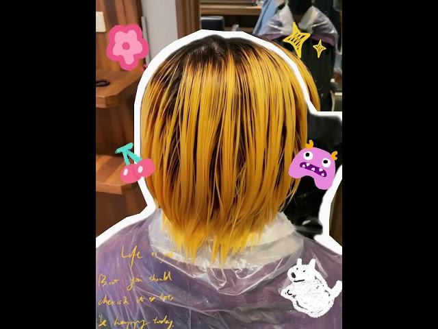 JJHAIRSALON  Ari 2024二次元髮色｜寶藍色 ｜藍綠色