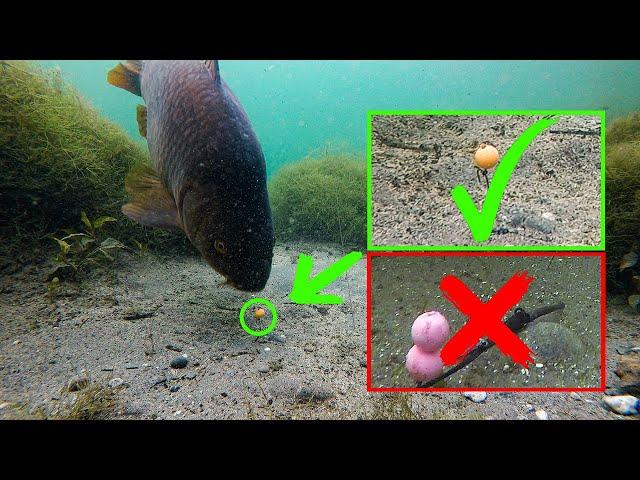 Why you must use pop ups over bottom baits!