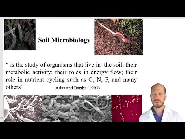 SWAE3411 - Introduction to soil microbiology part 1