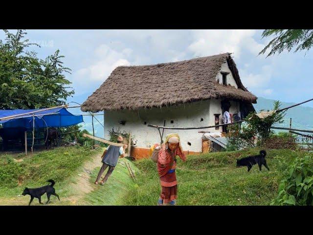 This is Himalayan Nepali village life || most peaceful And Relaxing Daily activities village life