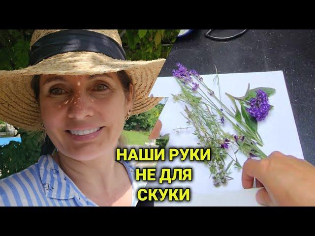 Декор летней кухни в стиле прованс| гербарий| лимонад | жду детей