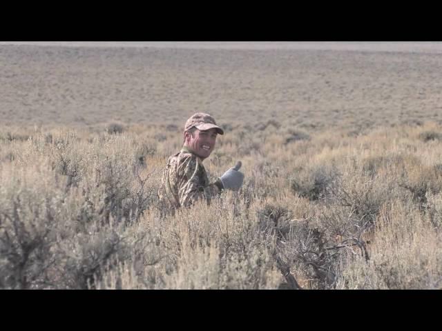 #4 Buckshot Varmint Express® Product Overview from Hornady®