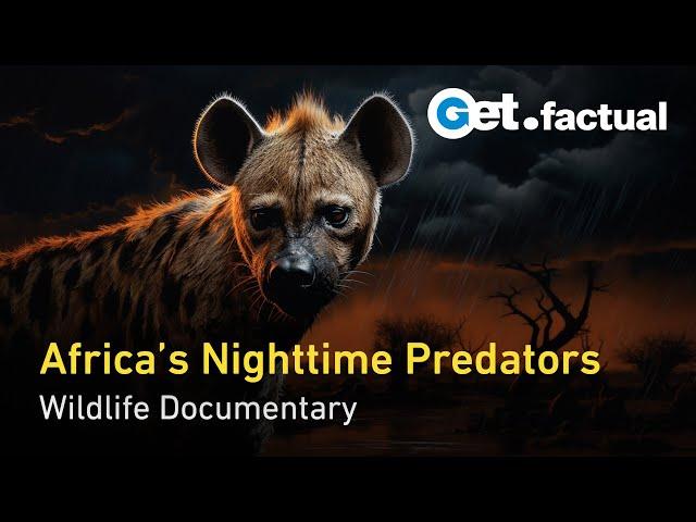 Africa's Hunters of the Night | Wildlife Documentary