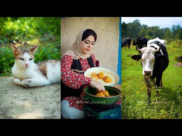 Delicious and Authentic Gilani Stew | Shirin Qatogh