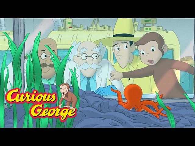 Curious George  George solves the mystery!  Kids Cartoon  Kids Movies  Videos for Kids