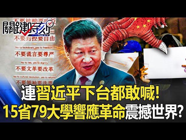 79 Universities in 15 Provinces of China Respond to the White Paper Revolution【English subtitles】