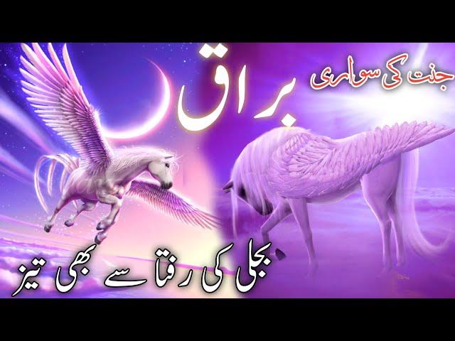 Ride to Heaven Buraq | buraq ki raftar kitni thi | shab e meeraj | story of buraq | #islam #buraq