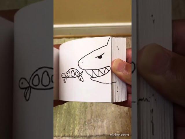 Shark Flipbook #shorts