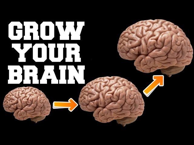 FAST BRAIN GROWTH SOUNDS : CENTURIES OLD SECRET OF INDIAN SAGES : RESULTS IN 1 WEEK !