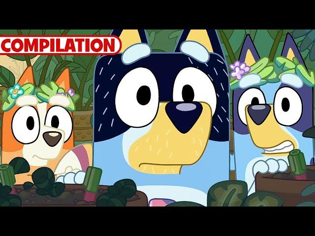 Bluey Compilation | S2 Full Episodes | Sleepytime, Bus & MORE |@disneyjr  @BlueyOfficialChannel