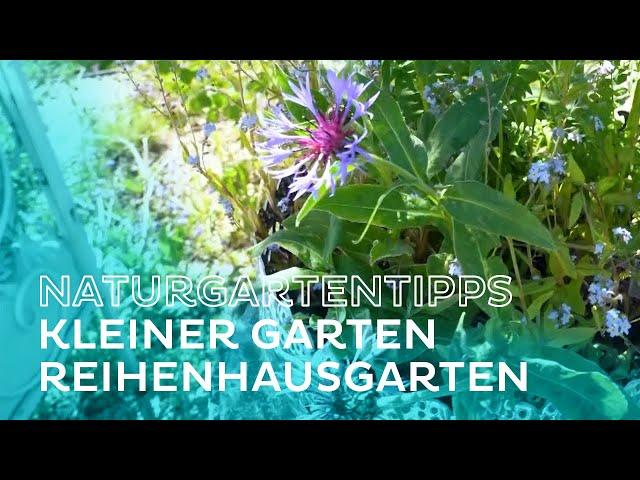 Naturgartentipps für kleine Gärten von Markus Burkhart - Salzburg AG TV