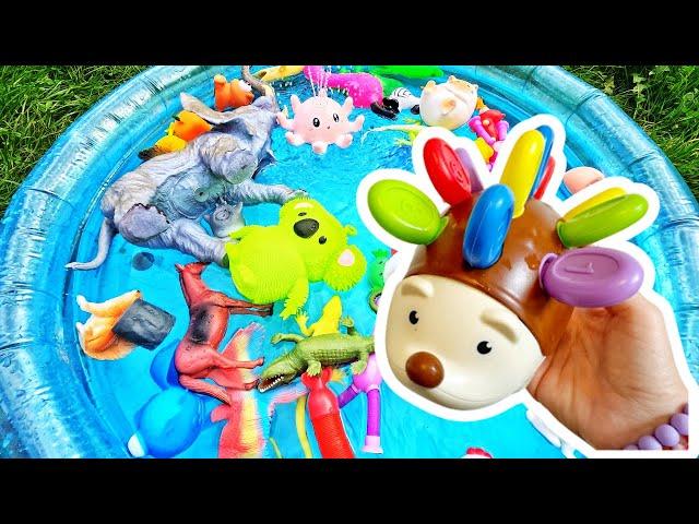 Learn Animal Names with Toys & Octopus Fountain Flamingo Cat Crocodile