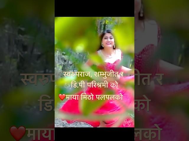 Maya Mitho Pal pal ko, swaroopraj, shambhujeet, DP Dahal Parishramee, new love ️ song, Nepali song