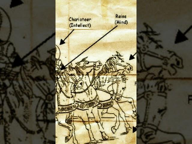 Abraxis and the Hindu Chariot #symbolism #gnosticism