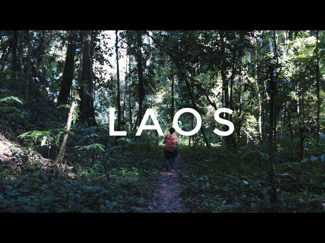 3 días en la jungla de Laos | Nam Ha, Luang Namtha