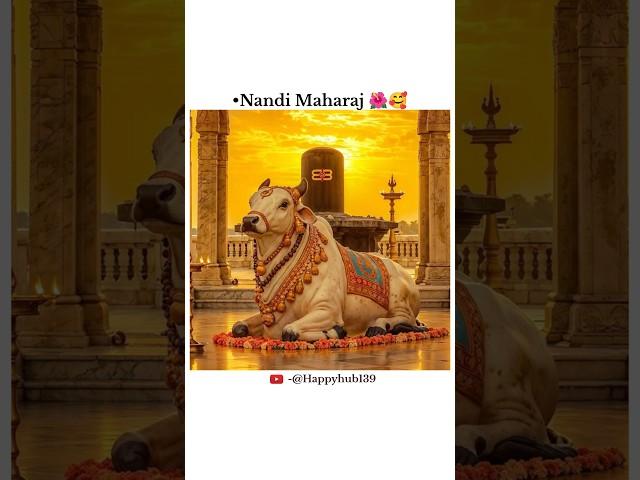All beautiful things start with "N"  ll #shortsfeed #youtubeshorts #nandi #shorts #trendingshorts