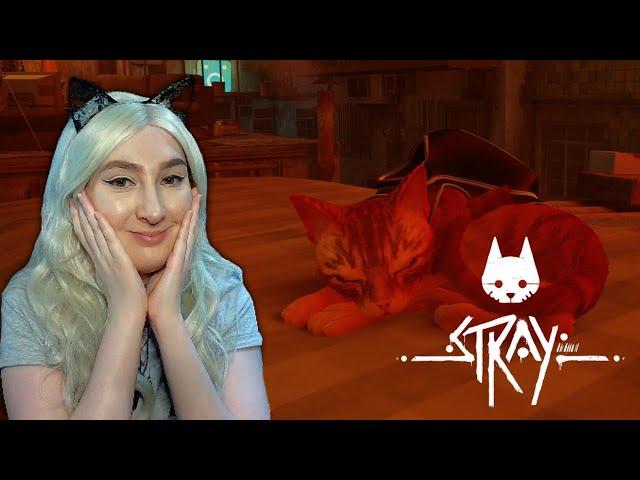 Exploring The Slums | Stray [2]