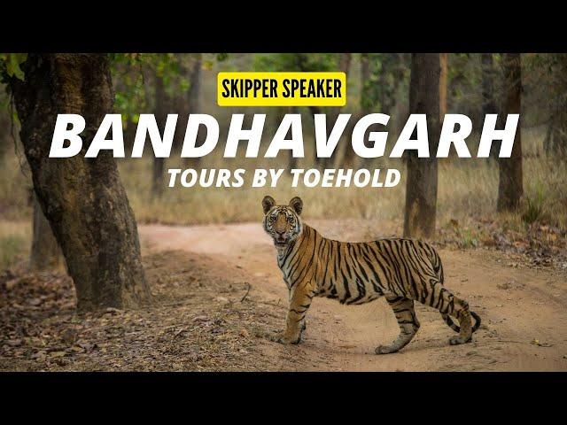 Bandhavgarh Photo Tours by Toehold | Bandhavgarh Tiger Reserve | Toehold TV