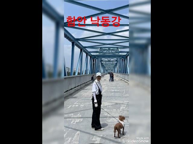 #함안 낙동강 #박앵두 #그래요