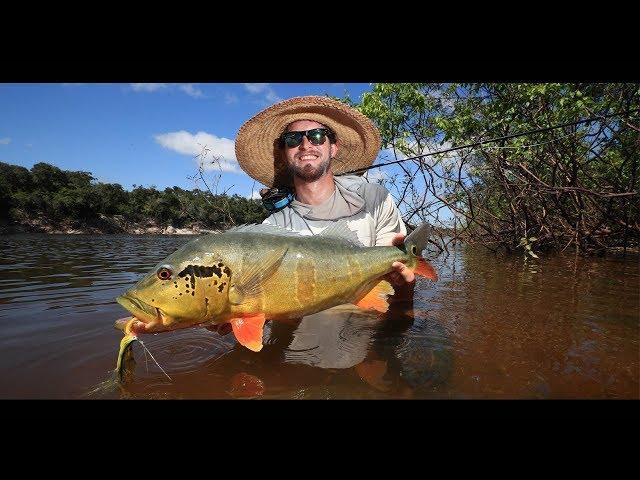 Agua Boa Amazon Lodge - Fly Fishing For Peacock Bass in Brazil