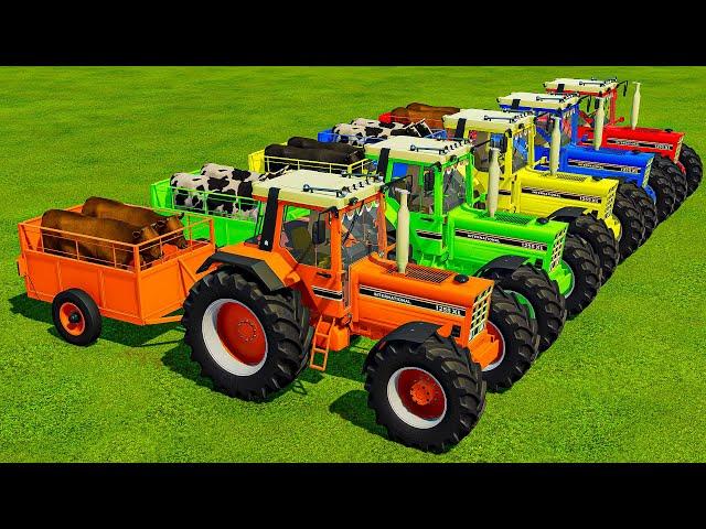 TRANSPORTING BULLS, COLORED URSUS & VALTRA TRACTORS WITH MAN TRUCKS - Farming Simulator 22