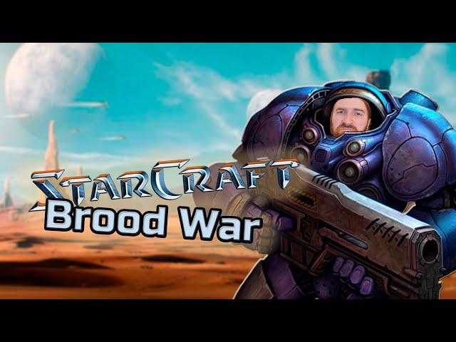 StarCraft: Brood War. Терраны. 29 октябрь 2024