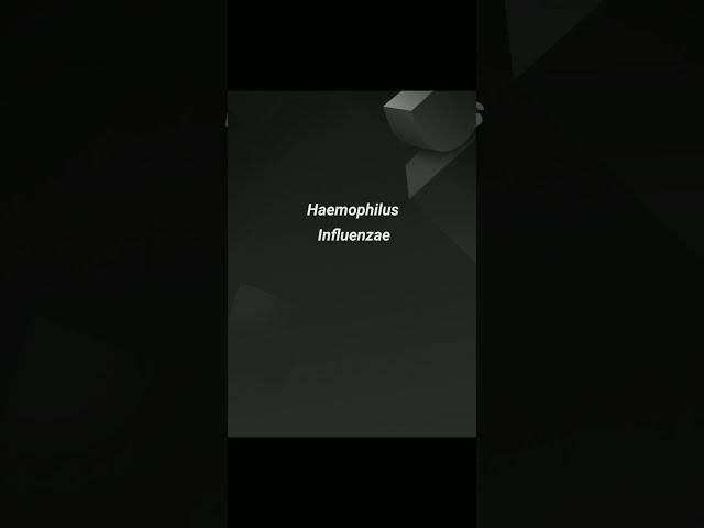 #BscMLT / Haemophilus Influenzae / Microbiology