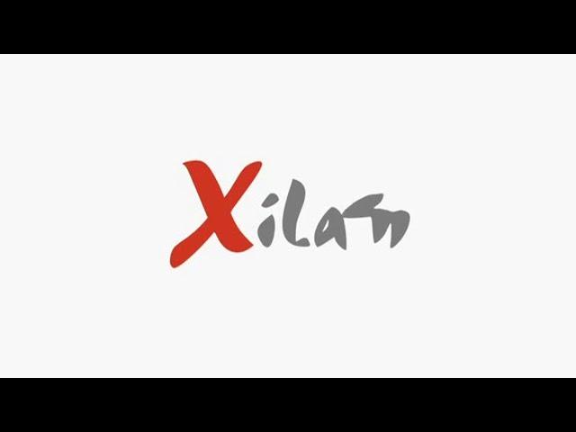 Xilam Logo 3 (Animation variants)