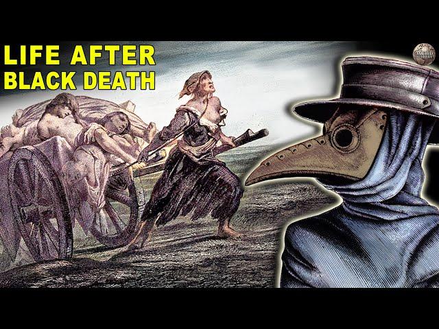 What Happened After the Black Death Ended