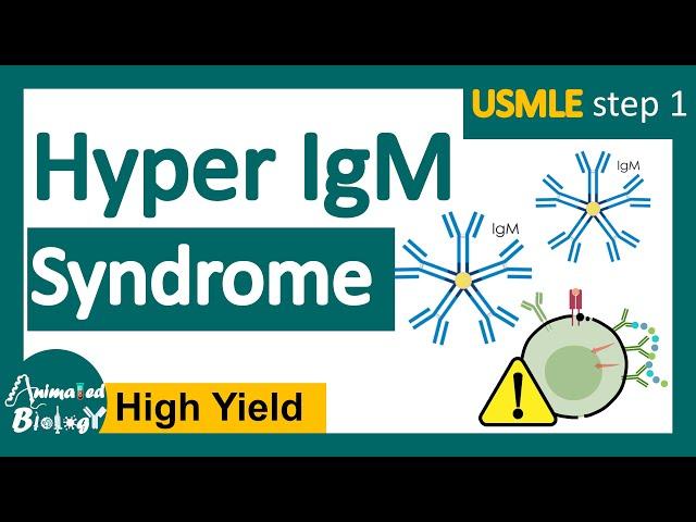 Hyper IgM syndrome | Hyper IgM syndrome causes | USMLE step 1