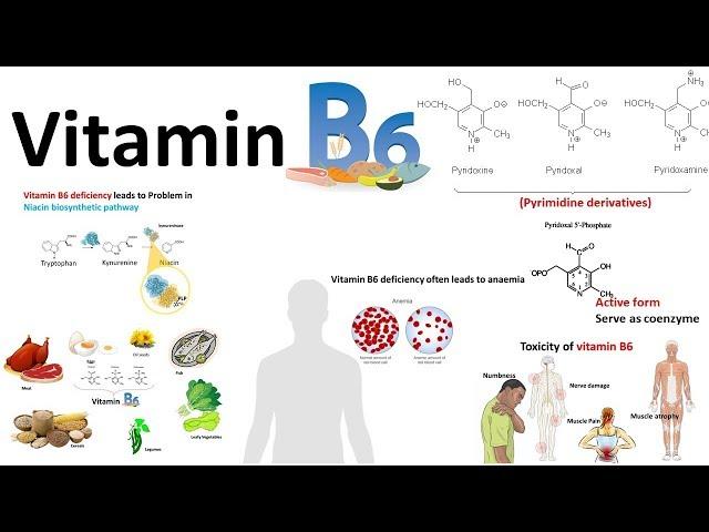 Vitamin B6 : structure,source and deficiency associated diseases