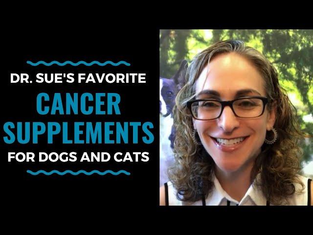 Dr Sue's Favorite Cancer Supplements for Dogs and Cats: VLOG 39