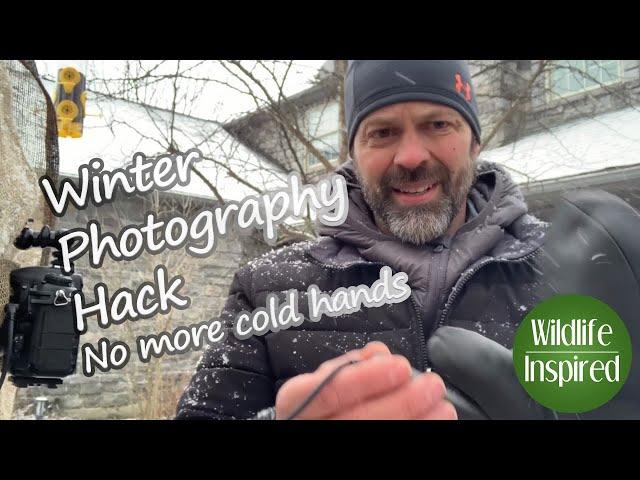 Cold Weather Hack for Wildlife Photography