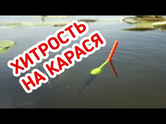 РЫБАЛКА на КАРАСЯ! Лучшая насадка на карася - РВАНЫЙ КРАСНЫЙ!